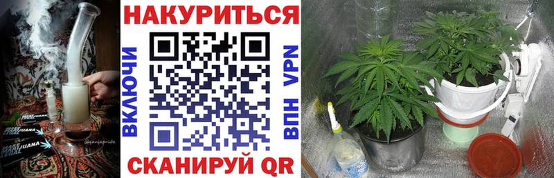 Конопля Ganja  Краснообск 